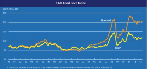 FAO Food Price Index May 2013 jpeg